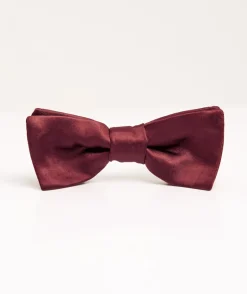 Boy's Satin Bow Tie
